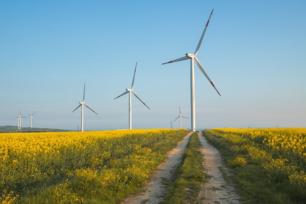 windmill 1